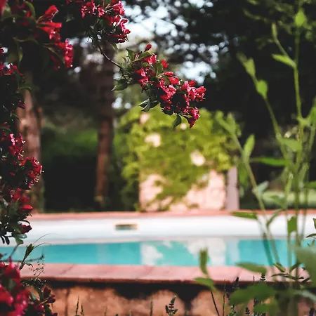 La Roane Yoga & Creativity Center