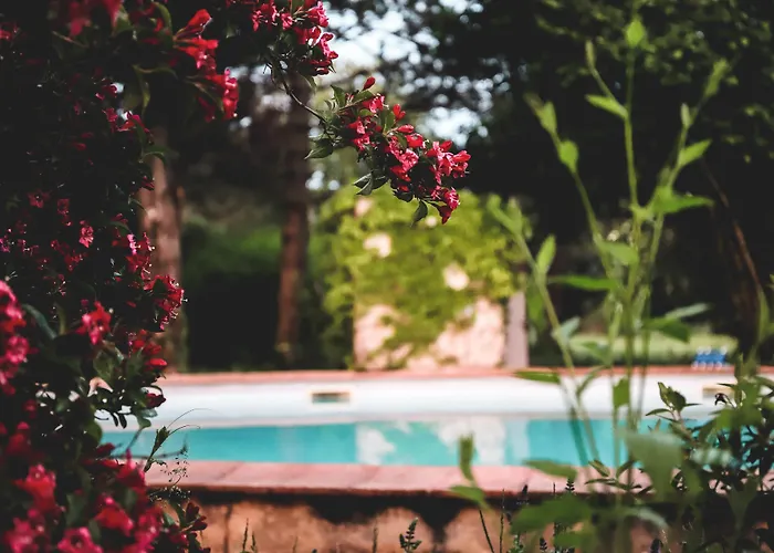 La Roane Yoga & Creativity Center